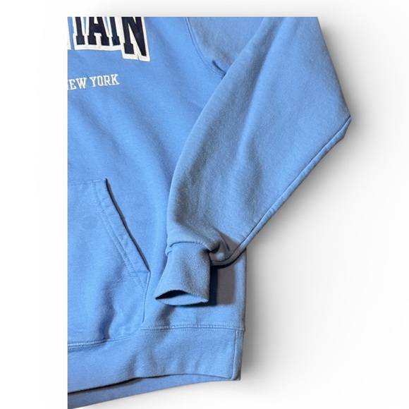 Champion 10th Mountain Sky Blue Graphic Hoodie Mens Size Medium - Picture 3 of 15